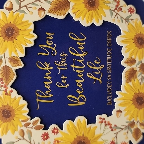 Gratitude Cards Thank You for this Beautiful Life 24 Cards and Tin - Picture 2 of 8